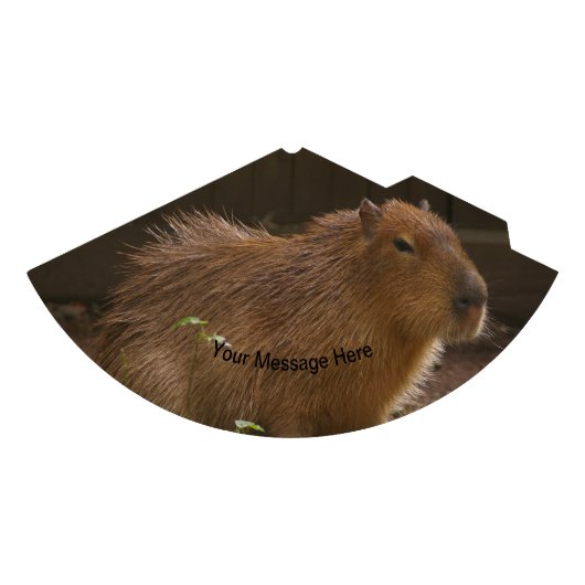 Capybara Feesthoedjes (Voorkant)