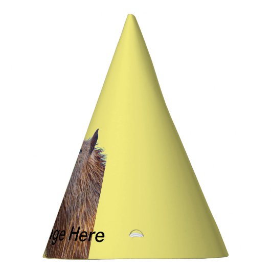 Capybara Feesthoedjes (Rechts)