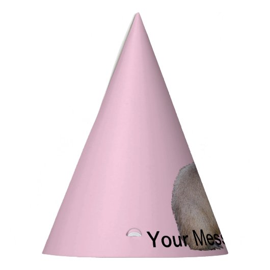 Capybara Feesthoedjes (Links)