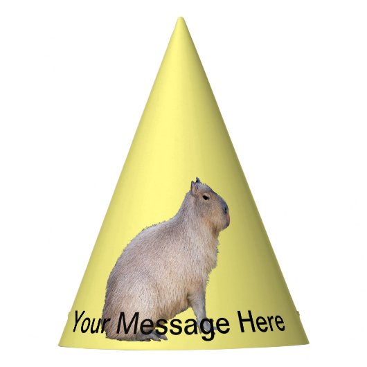 Capybara Feesthoedjes (Voorkant)