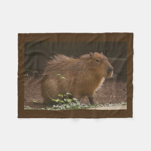 Capybara Fleece Deken (Voorkant (Horizontaal))