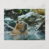 Capybara geniet van de hete lente briefkaart (Voorkant)