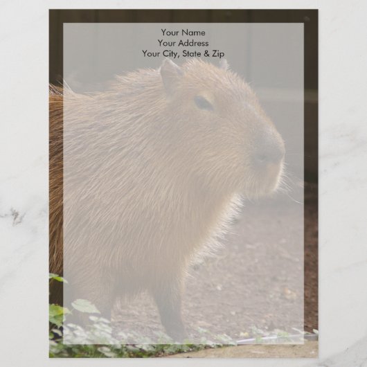 Capybara Gepersonaliseerd Briefhoofd (Voorkant)