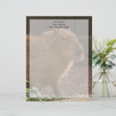 Capybara Gepersonaliseerd Briefhoofd (Staand voorkant)