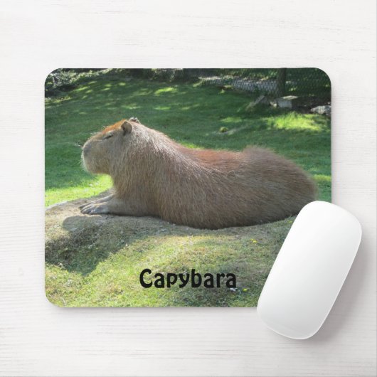 Capybara - Giant Rodent Muismat (Met muis)