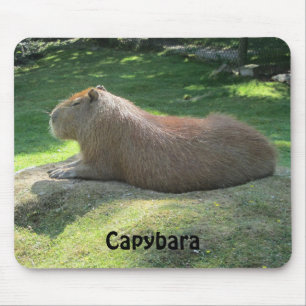 Capybara - Giant Rodent Muismat