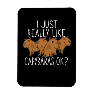 Capybara Gift Kinder Women Cute Capybara Magneet