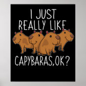 Capybara Gift Kinder Women Cute Capybara Poster (Voorkant)