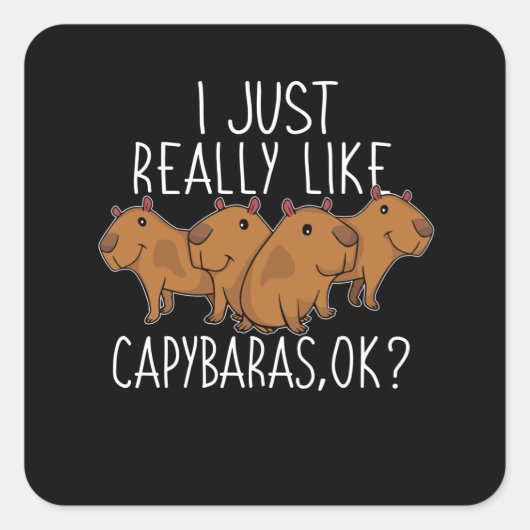 Capybara Gift Kinder Women Cute Capybara Vierkante Sticker (Voorkant)
