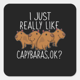 Capybara Gift Kinder Women Cute Capybara Vierkante Sticker