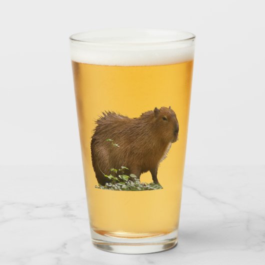 Capybara Glas (Voorkant gevuld)