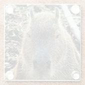 CAPYBARA GLAZEN ONDERZETTER (Achterkant)