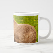 Capybara Grote Koffiekop (Rechts)