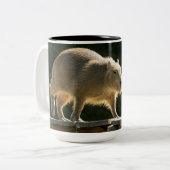 Capybara Grote Mok (Voorkant links)