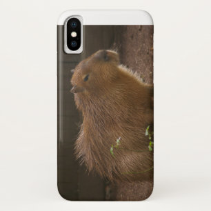 Capybara Hoesje-Mate iPhone Case