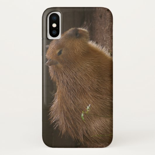 Capybara Hoesje-Mate iPhone Case (Achterkant)
