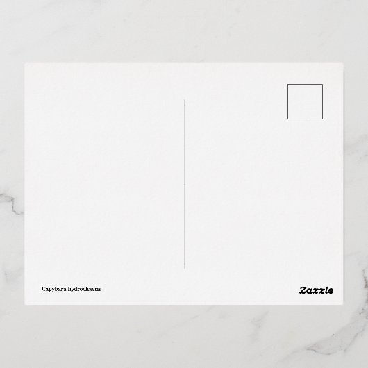 Capybara hydrochaeris folie feestdagen briefkaart (Achterkant)