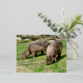 Capybara hydrochaeris folie feestdagen briefkaart (Staand Voorkant)