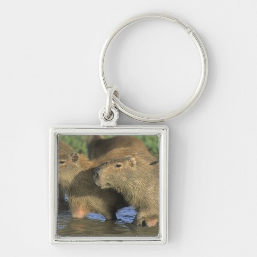 Capybara, Hydrochaeris hydrochaeris), wereldbol Sleutelhanger (Voorkant)