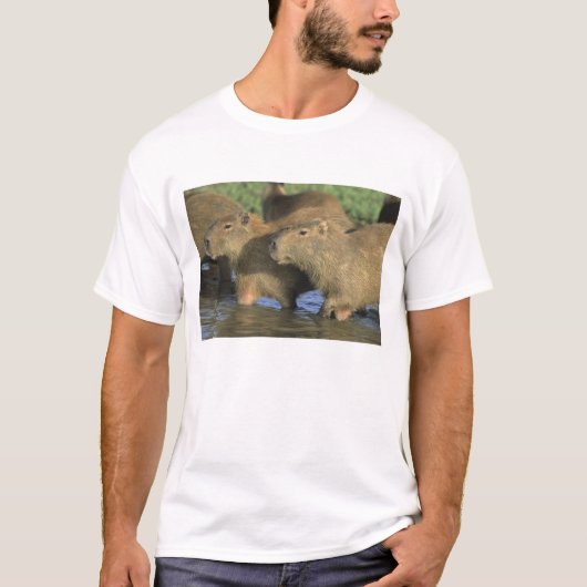 Capybara, Hydrochaeris hydrochaeris), werelds T-shirt (Voorkant)