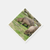 Capybara hydrochaeris servet (Hoek)