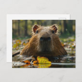 Capybara in de herfstwetlands briefkaart (Voorkant / Achterkant)