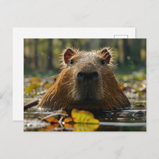Capybara in de herfstwetlands briefkaart (Voorkant / Achterkant)