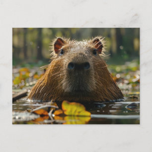 Capybara in de herfstwetlands briefkaart