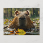 Capybara in de herfstwetlands briefkaart (Voorkant)