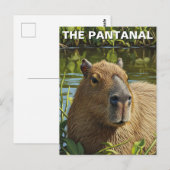 Capybara in De Pantanal Briefkaart (Voorkant / Achterkant)