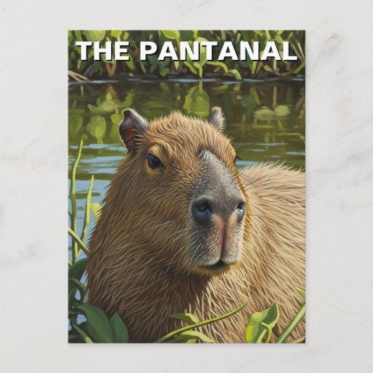 Capybara in De Pantanal Briefkaart (Voorkant)