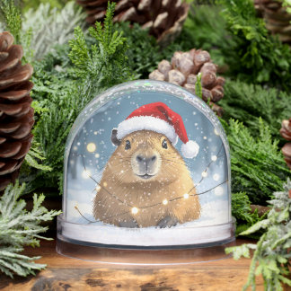 Capybara in het Santa Hat Christmas Snow Wereldbol Sneeuwbol