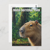 Capybara in Manu National Park Peru Briefkaart (Voorkant / Achterkant)