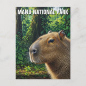 Capybara in Manu National Park Peru Briefkaart (Voorkant)