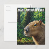 Capybara in Nationaal Park Manu Peru Briefkaart (Voorkant / Achterkant)
