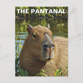 Capybara in The Pantanal Briefkaart