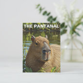 Capybara in The Pantanal Briefkaart (Staand voorkant)