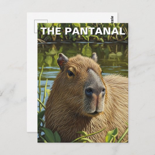 Capybara in The Pantanal Briefkaart (Voorkant / Achterkant)