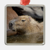 Capybara in water metalen ornament (Voorkant)
