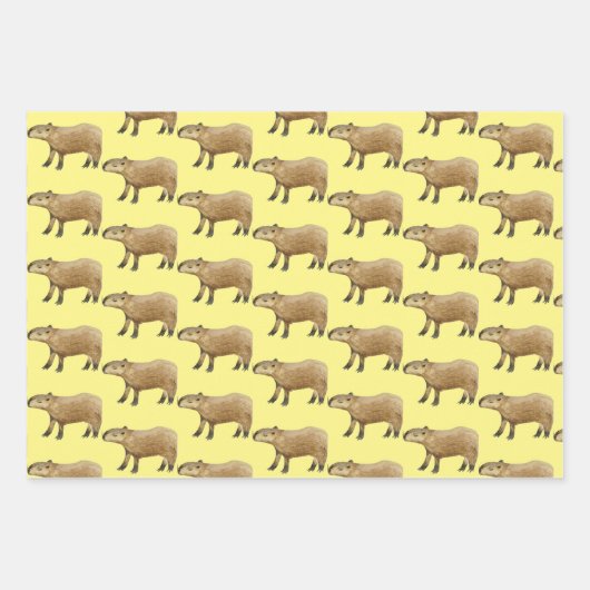 Capybara Inpakpapier Vel (Voorkant 3)