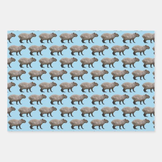 Capybara Inpakpapier Vel (Voorkant 3)