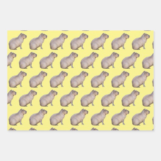 Capybara Inpakpapier Vel (Voorkant)