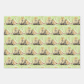 Capybara Inpakpapier Vel (Voorkant)