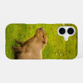 Capybara iPhone 16 Hoesje (Achterkant horizontaal)