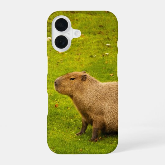 Capybara iPhone 16 Hoesje (Achterkant)
