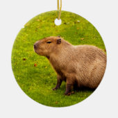 Capybara Keramisch Ornament (Voorkant)
