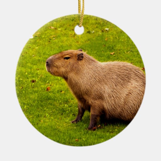 Capybara Keramisch Ornament (Voorkant)