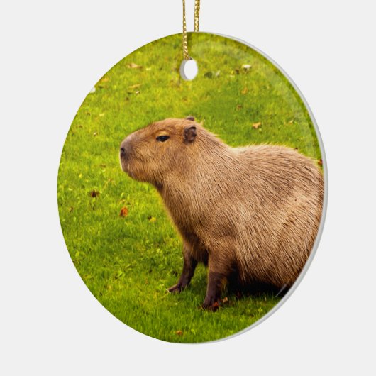 Capybara Keramisch Ornament (Links)