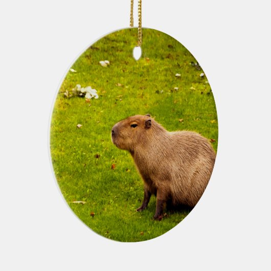 Capybara Keramisch Ornament (Rechts)