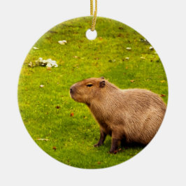 Capybara Keramisch Ornament